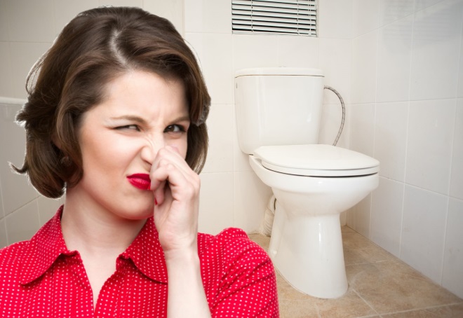 Запах канализации в туалете: какие причины и как устранить | rodina .